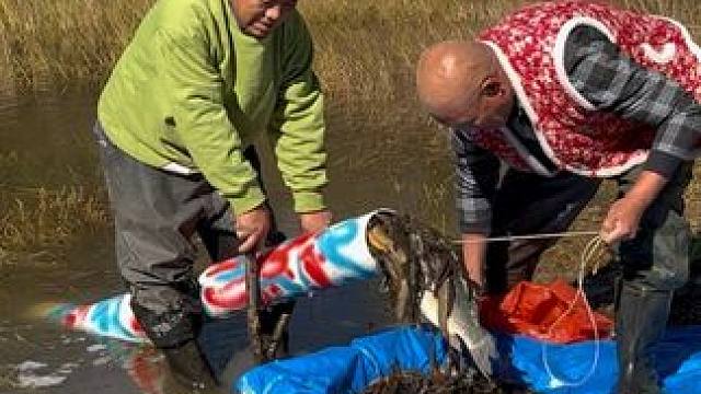 #户外捕鱼 #好多鱼