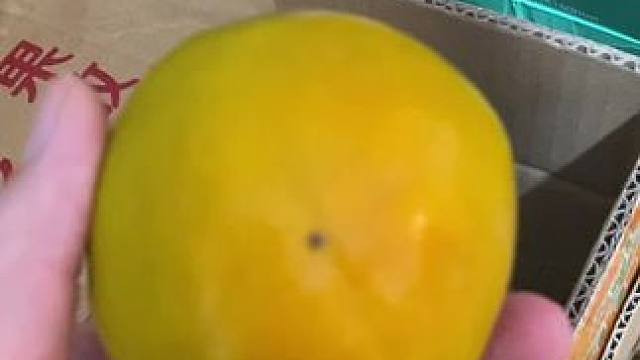 #吃货的世界唯有美食不可辜负 #从来没吃过这么好吃的东西 #好吃的东西要吃进肚子里 #谁懂这个视频对