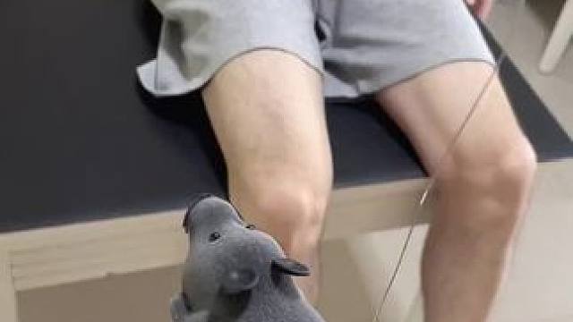 我发布了一个新视频，快来围观吧！