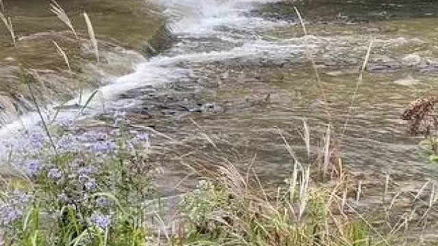 钓鱼佬都去哪儿呢？#这鱼哪个钓友看了不羡慕 #唯有钓鱼解千愁 #国庆假期去钓鱼有多爽 #秋天大家do