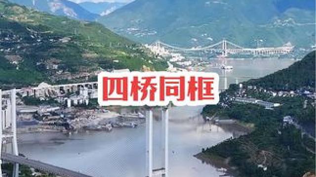 这么短短的一段距离，有四座大桥，你们知道的分别叫什么桥嘛？说清楚了的我请你吃我们特产奉节脐橙！#奉节