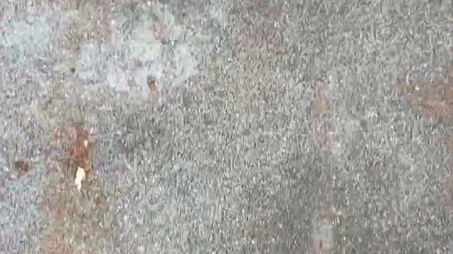 楼梯滚瓶子爆破解压时刻