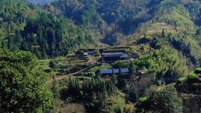 这不是八十年代，也不是老照片，这是我们湖南真实的农村现状，除了70.80后的不在村子里，老一辈世世代