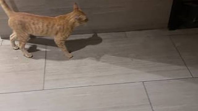 知道我回家#归属感