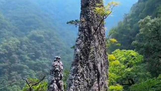 碧云天，黄叶地，秋色连波，波上寒烟翠#神农架 #秋色