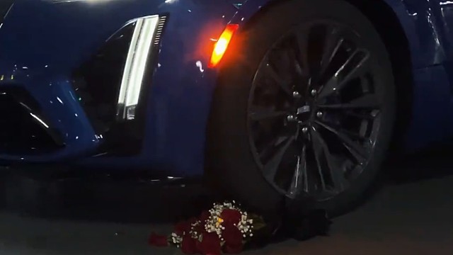 陪你的凯迪始终如一，等你的人又有谁