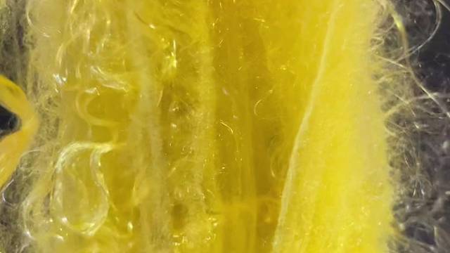 #私人定制 #黄金蜘蛛丝制衣 #手工制作 #匠心精神 #琴弦 #医疗 #军工 #航天