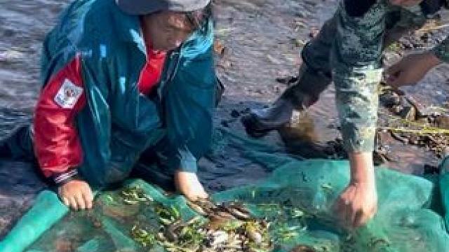 #户外捕鱼 #好多鱼