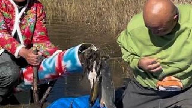 #户外捕鱼 #好多鱼