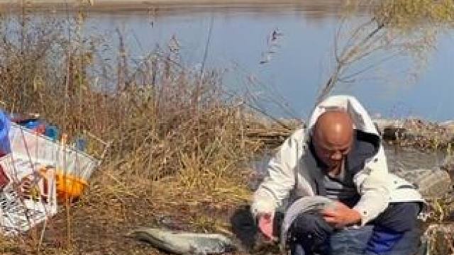 #户外捕鱼 #好多鱼 #好大一条鱼