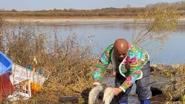 #户外捕鱼 #好多鱼 #好大一条鱼