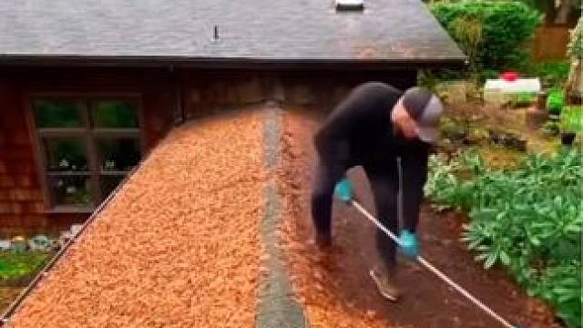 社区清洁园丁工作效率。 #极度舒适 #解压 #解压视频 #除草视频解压 #强迫症看了很享受