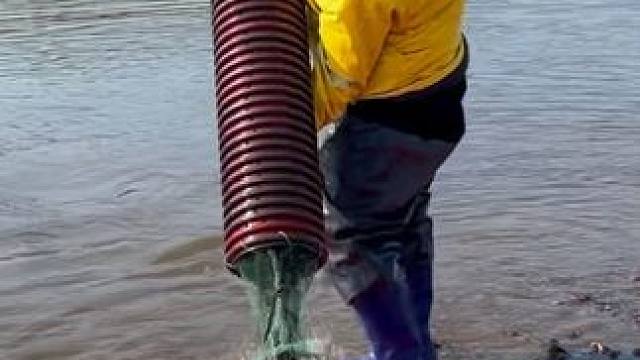 #户外捕鱼 #好多鱼