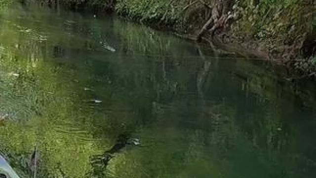 #秋天正是钓鱼好时节 #国庆假期去钓鱼有多爽