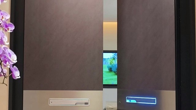 这就是铝仿岩板的魅力吧#TINNO帝诺系统入户门 #上海 #偏轴门