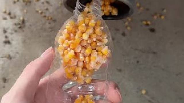 我发布了一个新视频，快来围观吧！