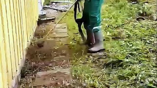 爽死强迫症 #国外视频分享 #解压 #除草视频解压 #小院改造