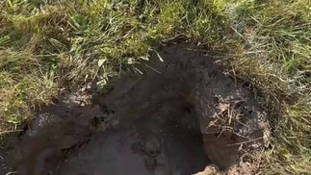 这个方法不错 高压水枪挖坑#国外视频分享 #高压水枪 #施工现场实拍