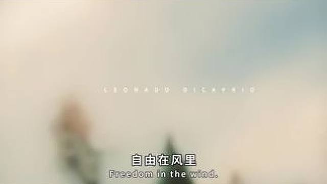 方舟大电影#命运方舟 #寻找命运方舟最有才的你 #命运方舟新职业暗影 #方舟大电影