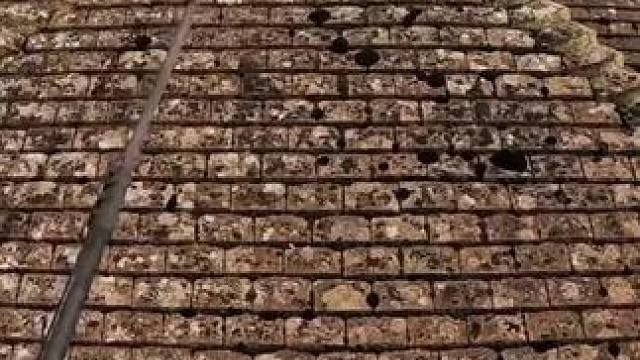 我发布了一个新视频，快来围观吧！