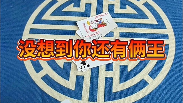 没想到你还有俩王