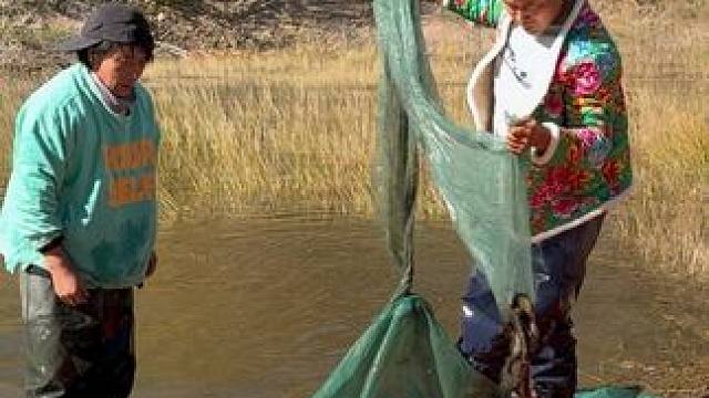 #户外捕鱼 #好多鱼