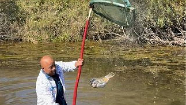 #户外捕鱼 #好大一条鱼