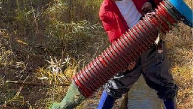 #户外捕鱼 #好多鱼