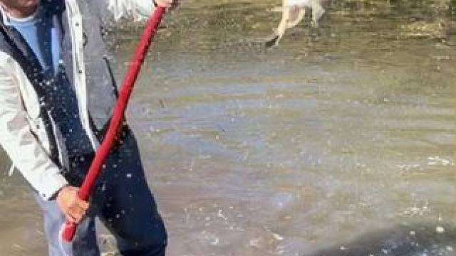 #户外捕鱼 #好大一条鱼