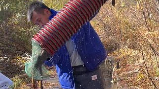 #户外捕鱼 #好多鱼