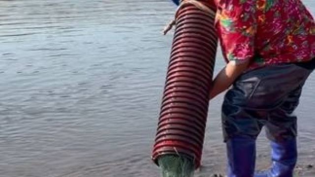 #户外捕鱼 #好多鱼