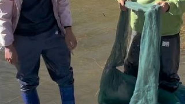 #户外捕鱼 #好多鱼