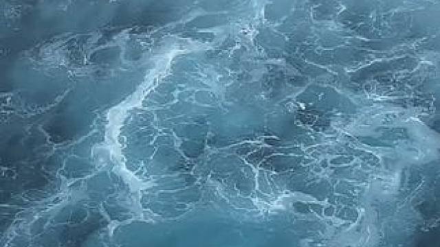 百慕大三角深海巨物，胆小者勿入！
#百慕大三角 #海洋生物 #旅行大玩家