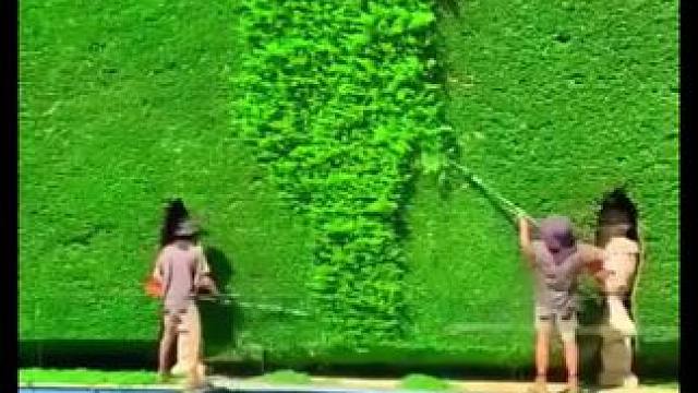 解压小视频合集 适合无聊的时候看#国外视频分享 #解压 #除草视频解压 #极度舒适 #小院改造