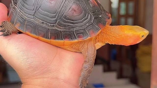 把你们家的小宝发出来看谁家的更可爱