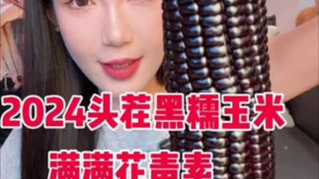 很糯哦 肉头艮啾啾的那种 满满的花青素！很有玉米香 微甜 #十月稻田黑糯玉米 #吃玉米 #糯玉米