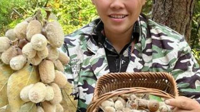 今天去山里摘了很多野生的猕猴桃 #野果 #农村生活 #记录生活 #猕猴桃