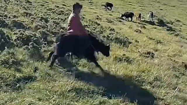 将来是高手[赞]