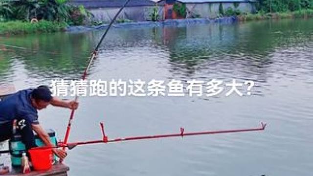 秋天正是钓鱼好时节~