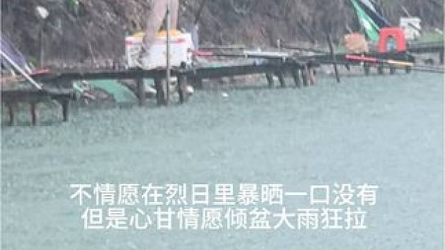 心甘情愿倾盆暴雨狂拉，不愿意烈日暴晒无鱼口。#钓鱼 #钓大青