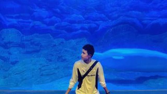 小时候很渴望来一次海洋馆 知道长大后
原来才知道童年是这样的！#假期打开郑州看海模式 #郑州有自己的