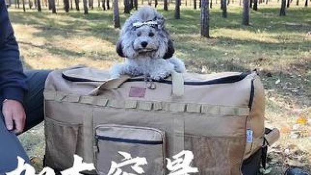 户外露营，东西多抬不动，超大容量拖轮包他来了，能抬能拎，带轱辘还能拖着走，出差旅行都适用#户外露营 