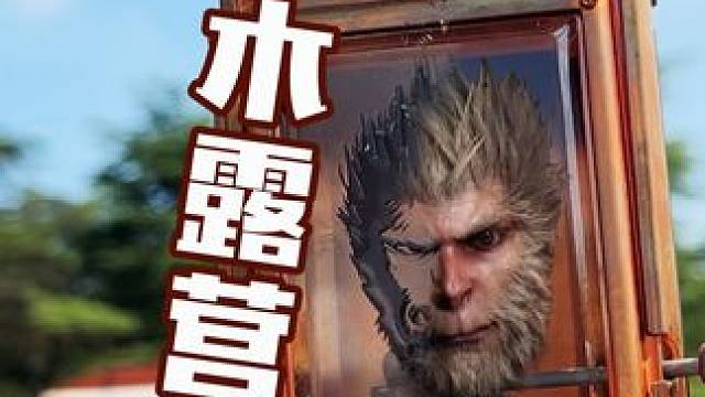 世纪公园露营节 #热点 #露营  #悟空  #世纪公园 #露营装备