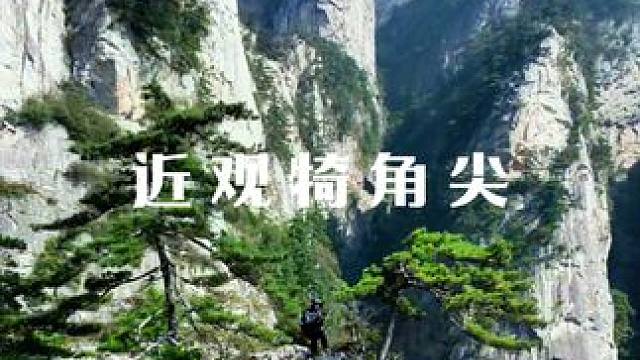 以前爬山总觉得不登顶就有遗憾，现在发现不登顶反而能看到更加震撼的风景！#老界岭 #悬崖峭壁上的风景 