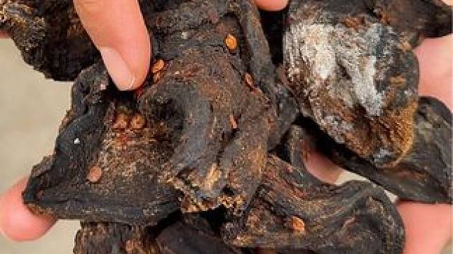 #不敢想象这一口多好吃 #把家乡的味道分享给大家 #口感非常好 #好吃到停不下来 #为家乡农产品代言