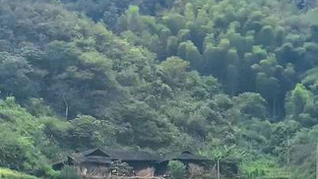 站在家乡的山头，看着荒草丛生的村庄，感到莫名的凄凉，如果和最爱的人生活在这里，你愿意吗？#乡愁记忆 