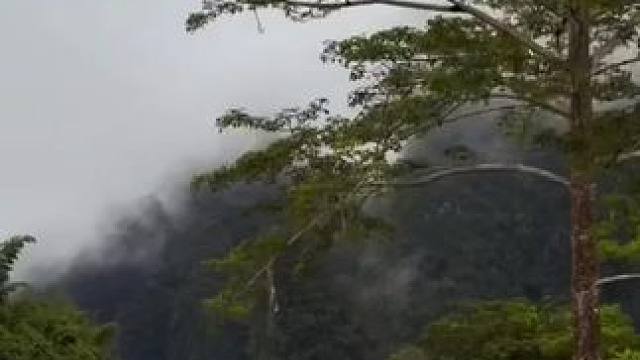 #风景都在路上 #大山深处自然美