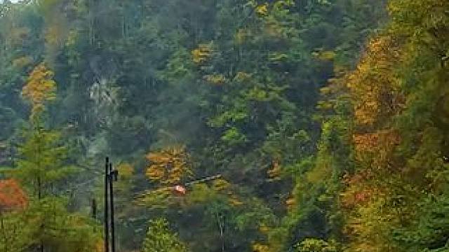 国道209（苏北线）湖北神农架林区段沿途景色 #最美的风景在路上 #旅行推荐官 #神农架