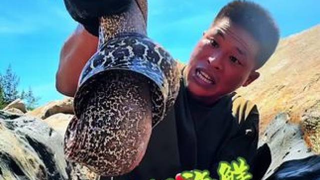 野外生存 第35集｜盘之前打窝的水坑，收获不少海鲜#野外生存 #户外 #户外美食 #探险 #海岛