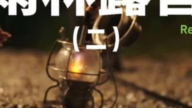 雨林露营（二）#露营 #解压 #助眠 #一个人的露营时光 #户外露营